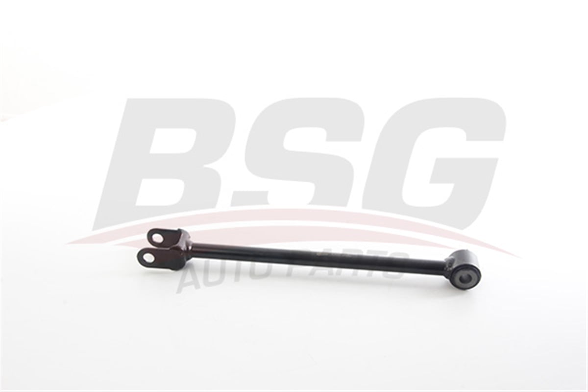 BSG 75-310-107 - Denge Kolu Arka Orta - Renault Duster
