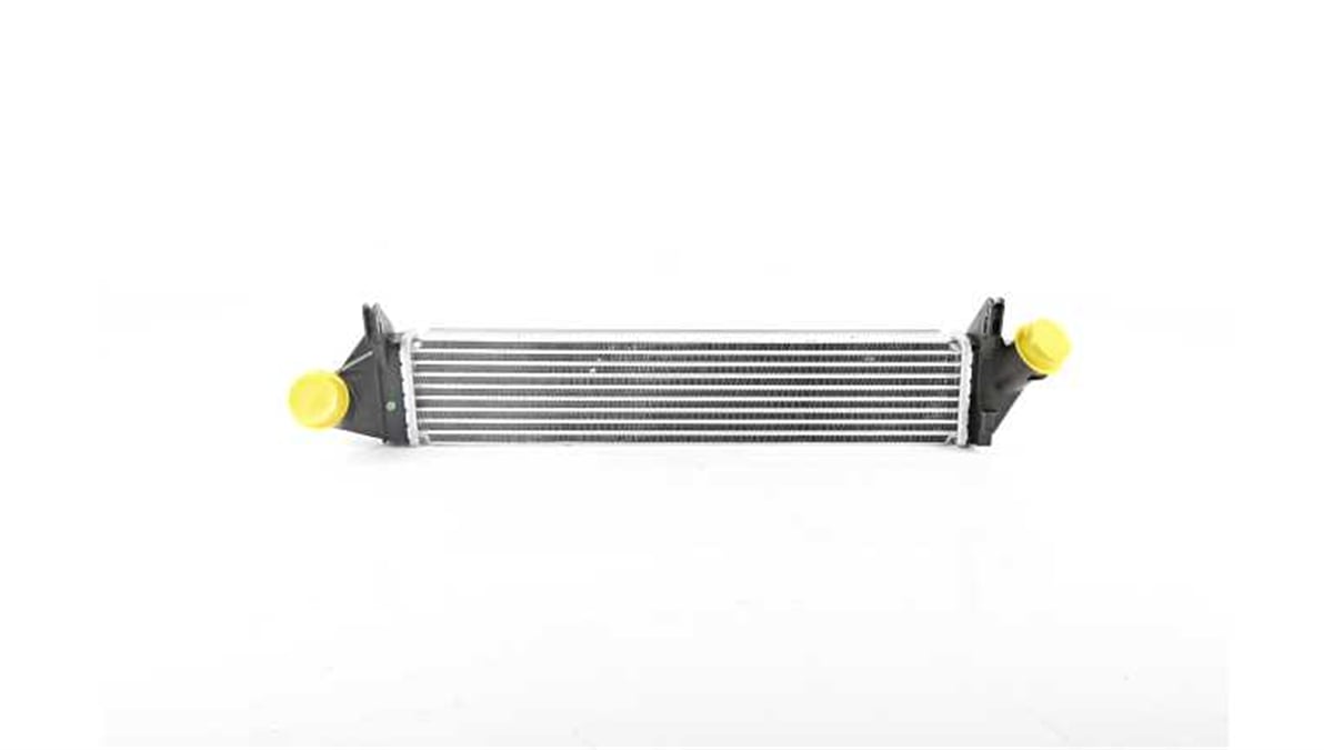 BSG 75-535-005 - Turbo Radyatörü - Renault Duster