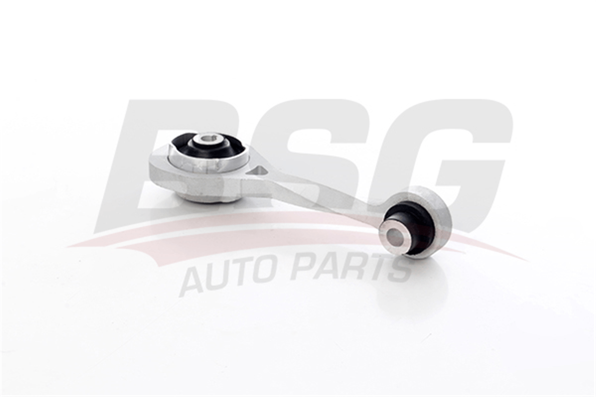 BSG 75-700-010 - Sanziman Takozu - Renault Kango Ii / Clio Ii