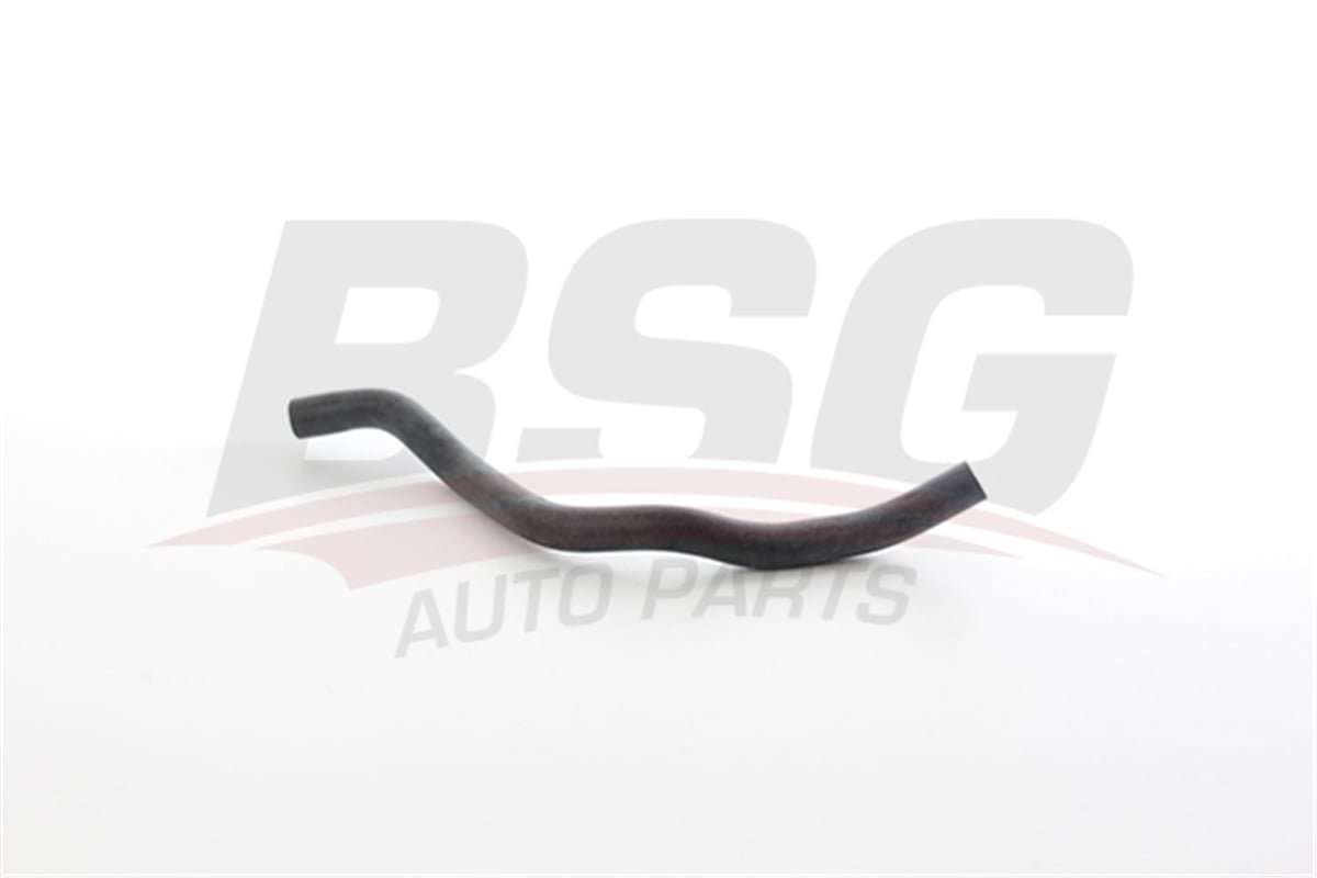 BSG 75-720-161 - Turbo Hortumu - Renault Duster