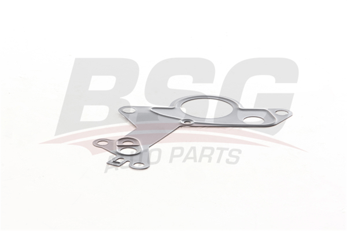 BSG 90-116-017 - Vakum Pompa Contasi - Vw Polo-t5-passat-golf5-a3-leon