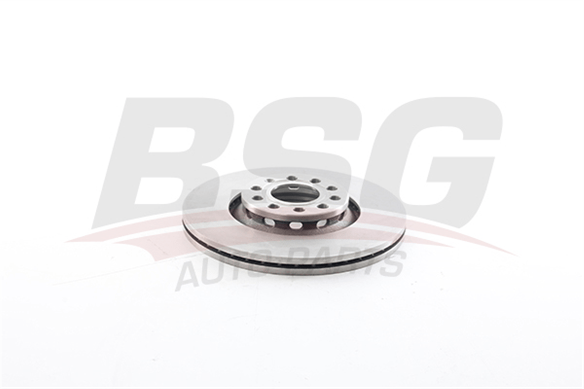 BSG 90-210-065 - Fren Diski Ön - Vw Passat-a4-a6