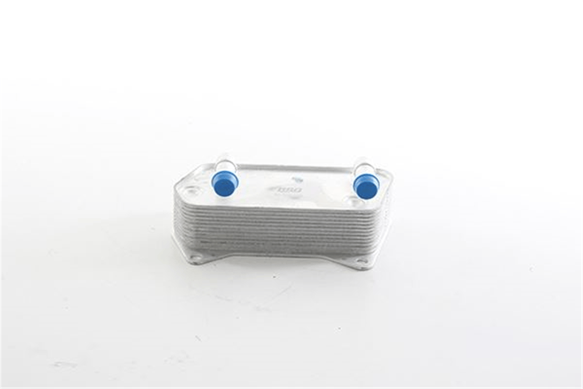 BSG 90-506-016 - Sanzuman Yag Sogutucu - Vw Golf5-jetta-passat-caddy-a3