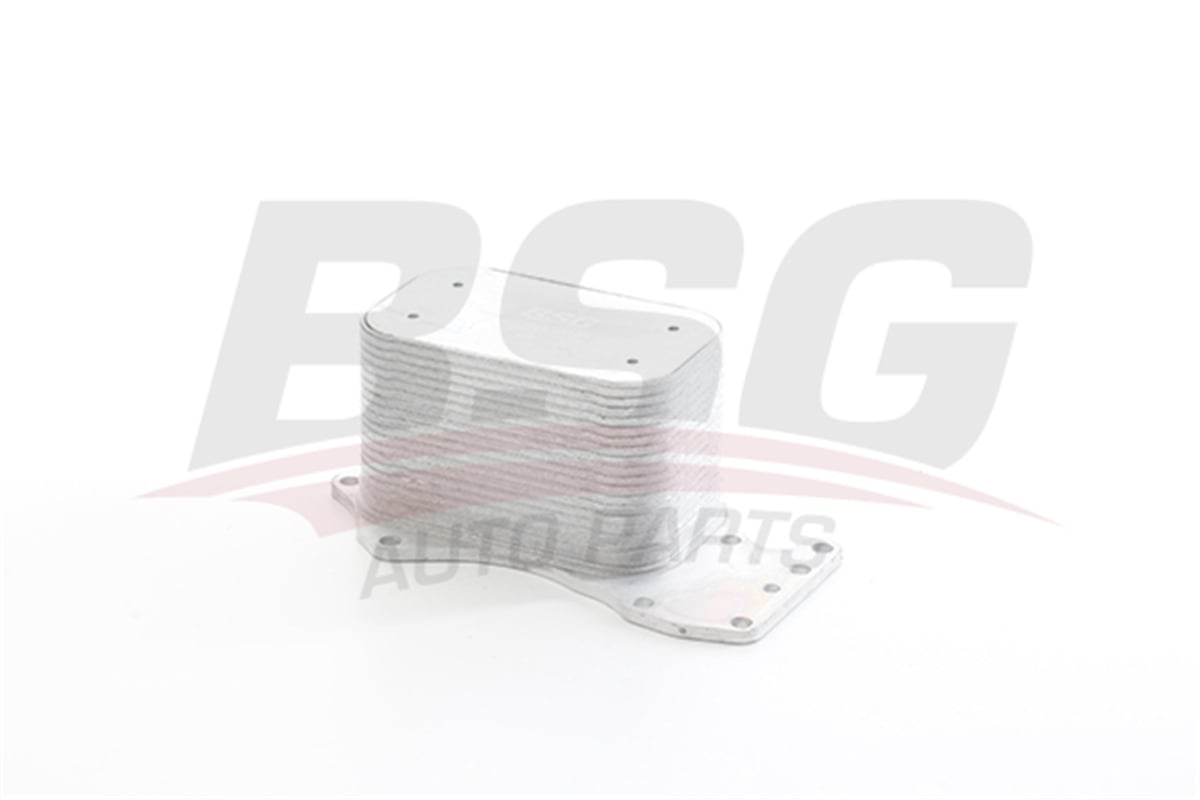 BSG 90-506-018 - Yag Sogutucusu - Vw Touareg-a4-a5