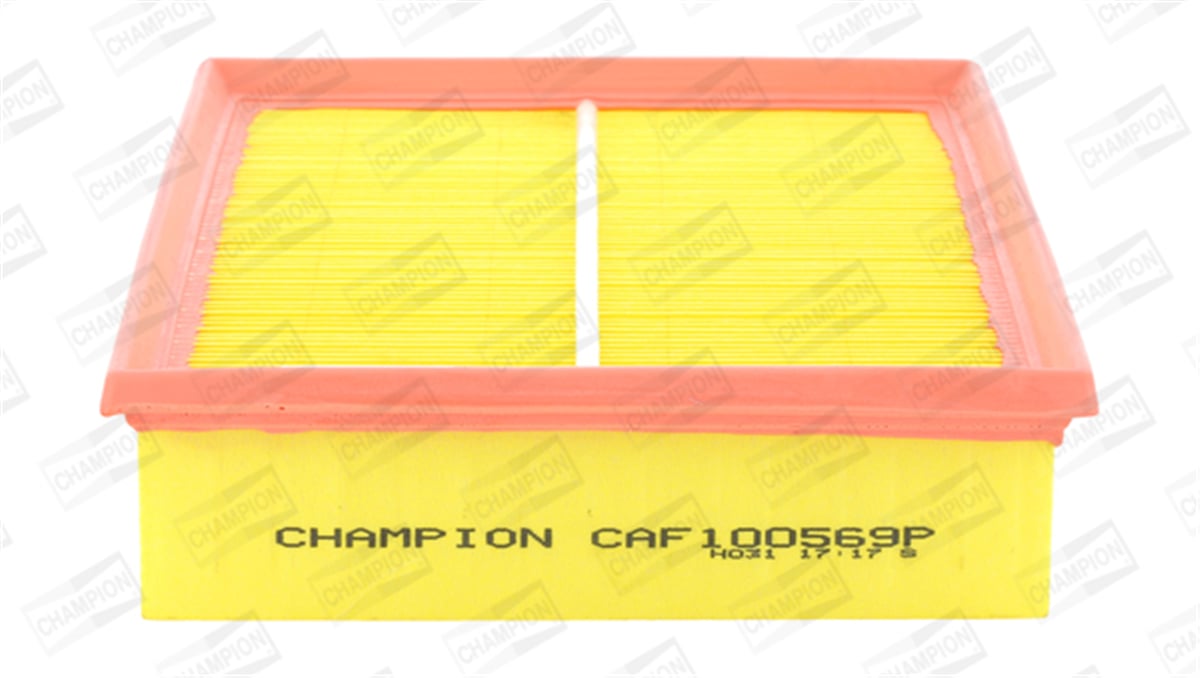 CHAMPION CAF100569P - Hava Filtresi - Vw Passat-a4-a6