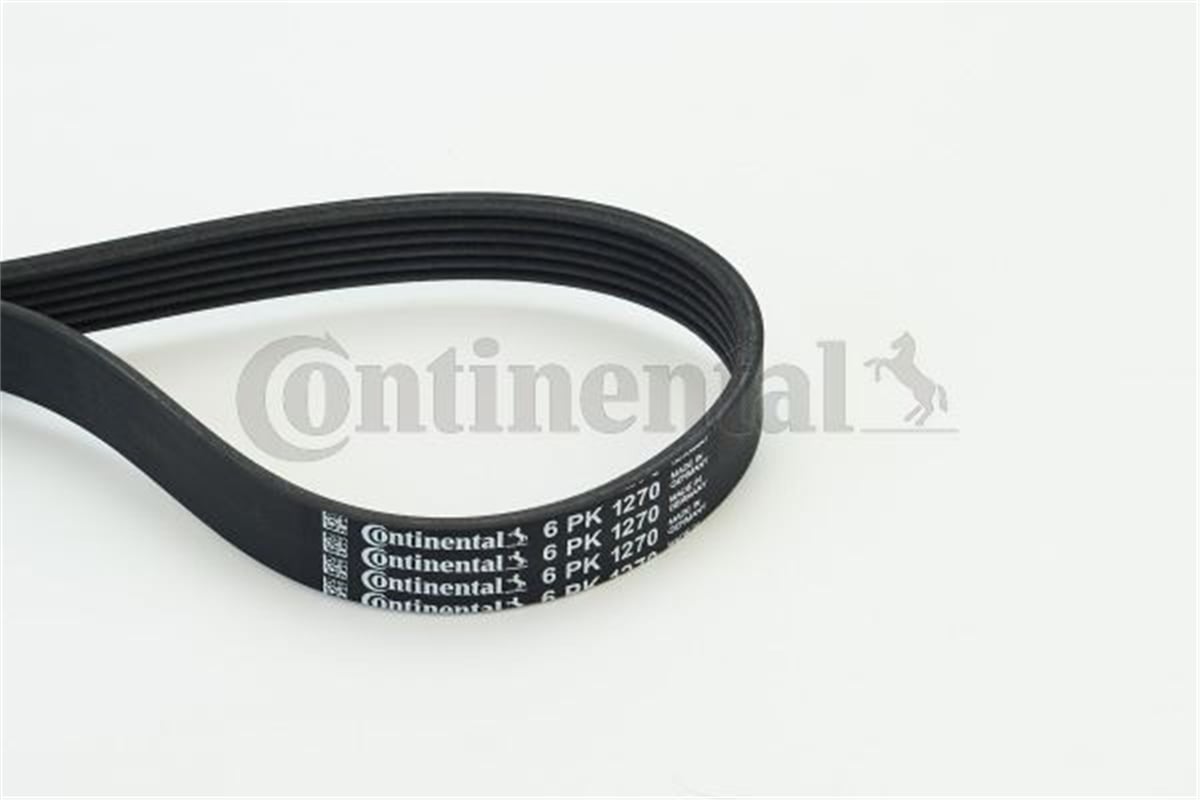 CONTITECH 1270 - V Kayisi - Ford Focus/kuga /mondeo