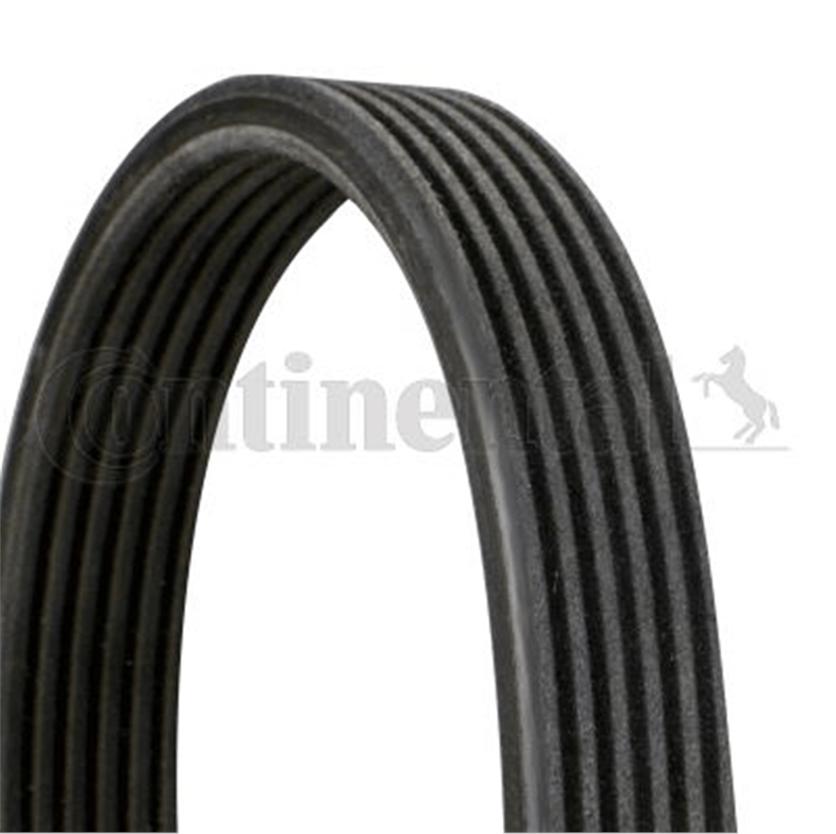 CONTITECH 1841 - V Kayisi - Volvo Volvo S60/s80/v70/xc70/xc90
