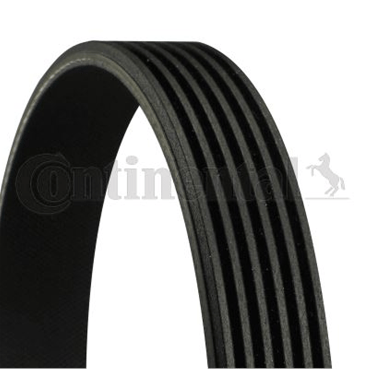 CONTITECH 1880 - V Kayisi - Opel Vectra C