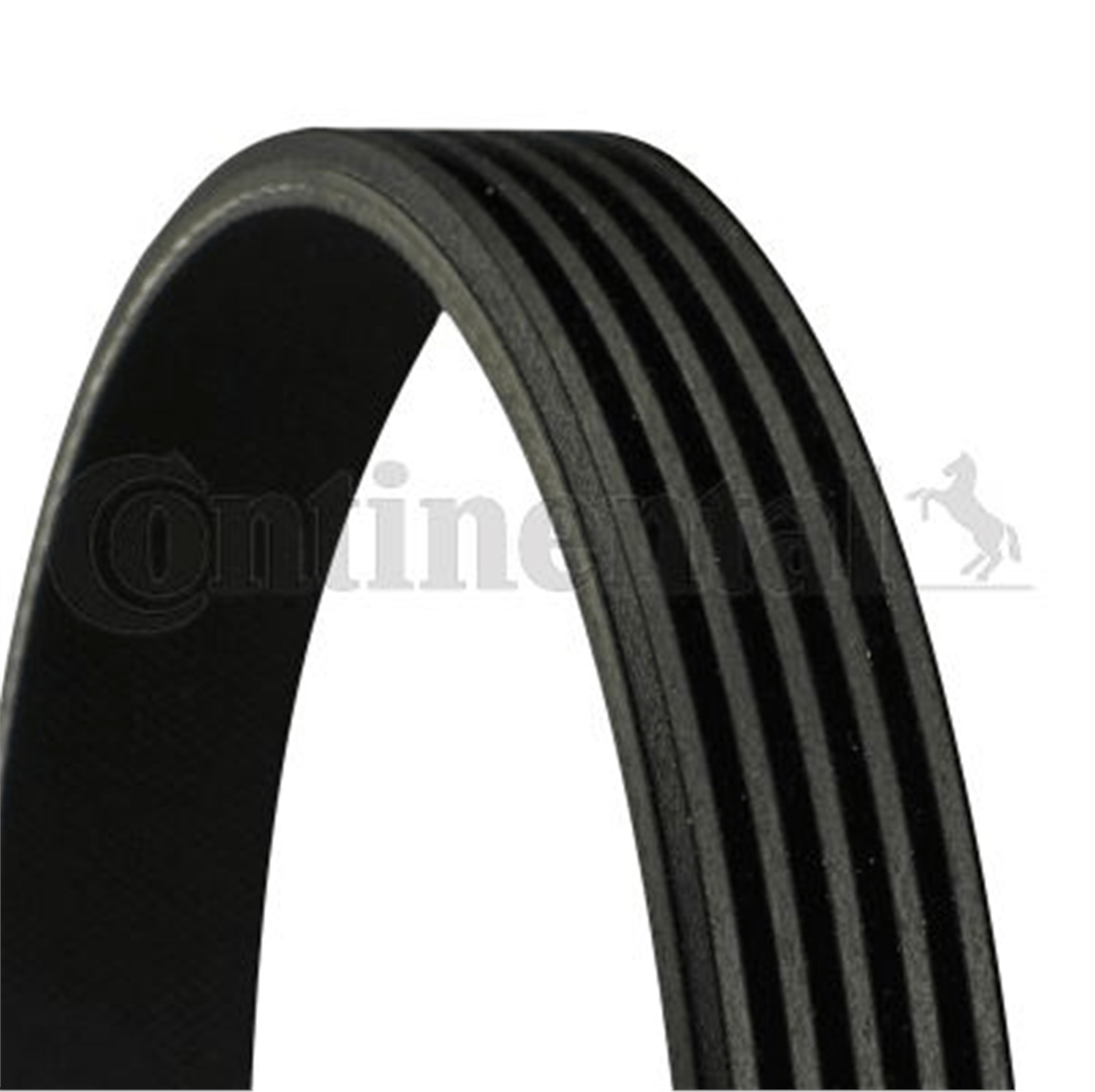 CONTITECH 847 - V Kayisi - Ford Focus