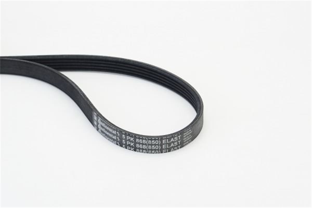CONTITECH 868ELAST - V Kayisi - Ford Focus/c-max