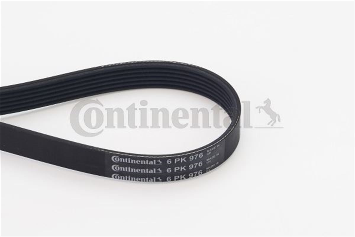 CONTITECH 976 - V Kayisi - Ford Focus/c-max