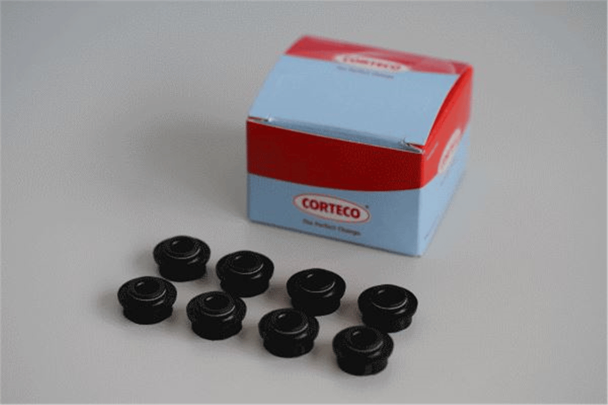 CORTECO 19036122 - Supap Lastigi Takimi - Ford Connect