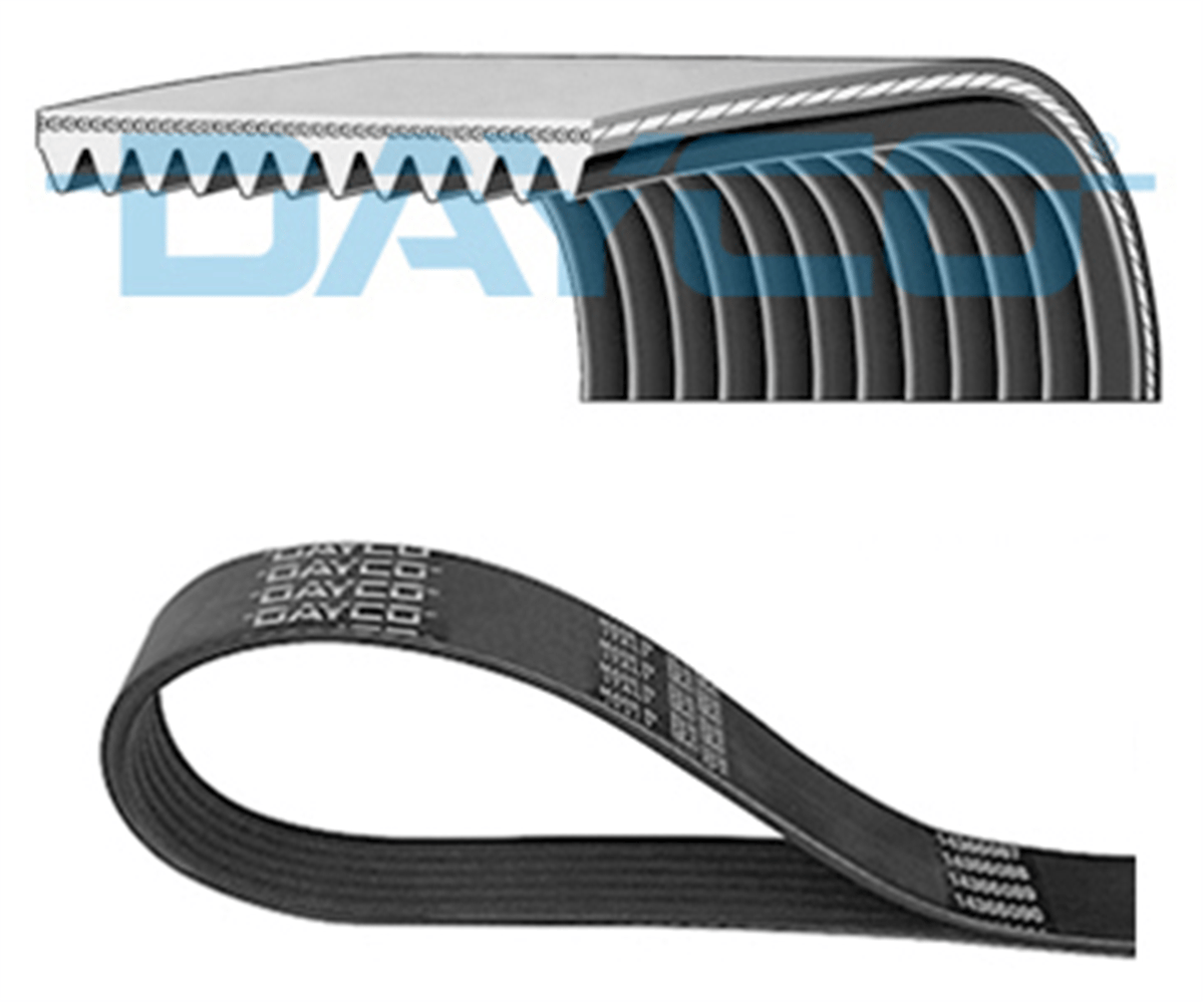 DAYCO 12PK1835HD - Kanalli V Kayisi - Av Stralis I/ii, Trakker I/ii