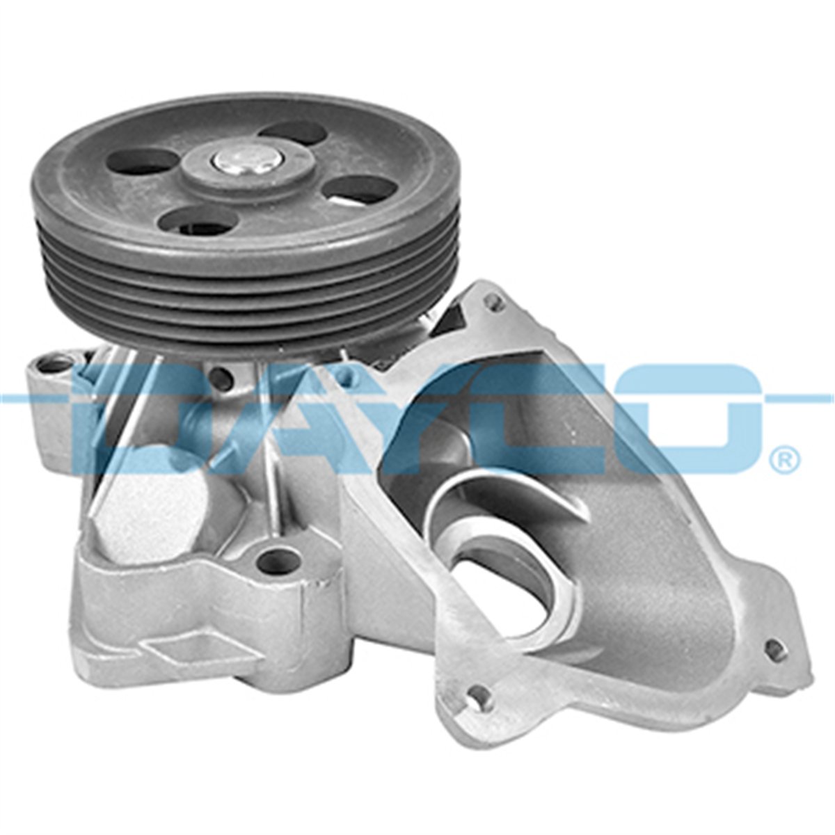 DAYCO DP295 - Devirdaim - Bmw Freelander 1