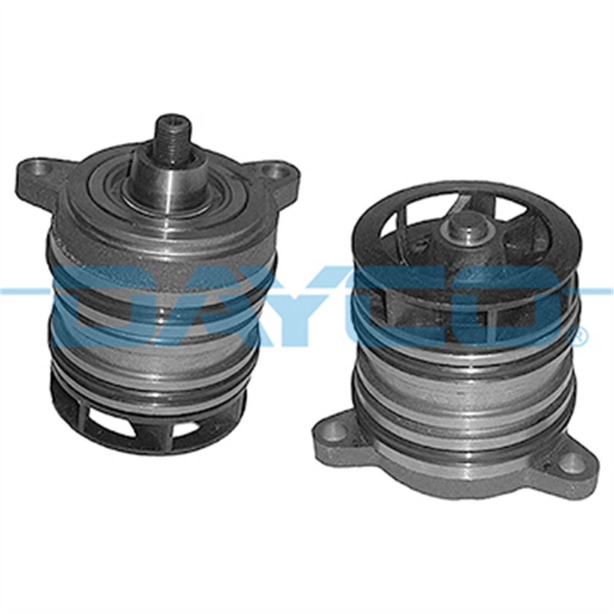 DAYCO DP336 - Devirdaim - Vw T5-touareg