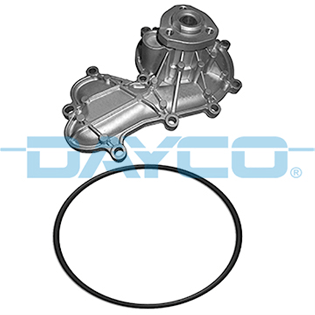 DAYCO DP400 - Devirdaim - Vw Touareg-q7-a6