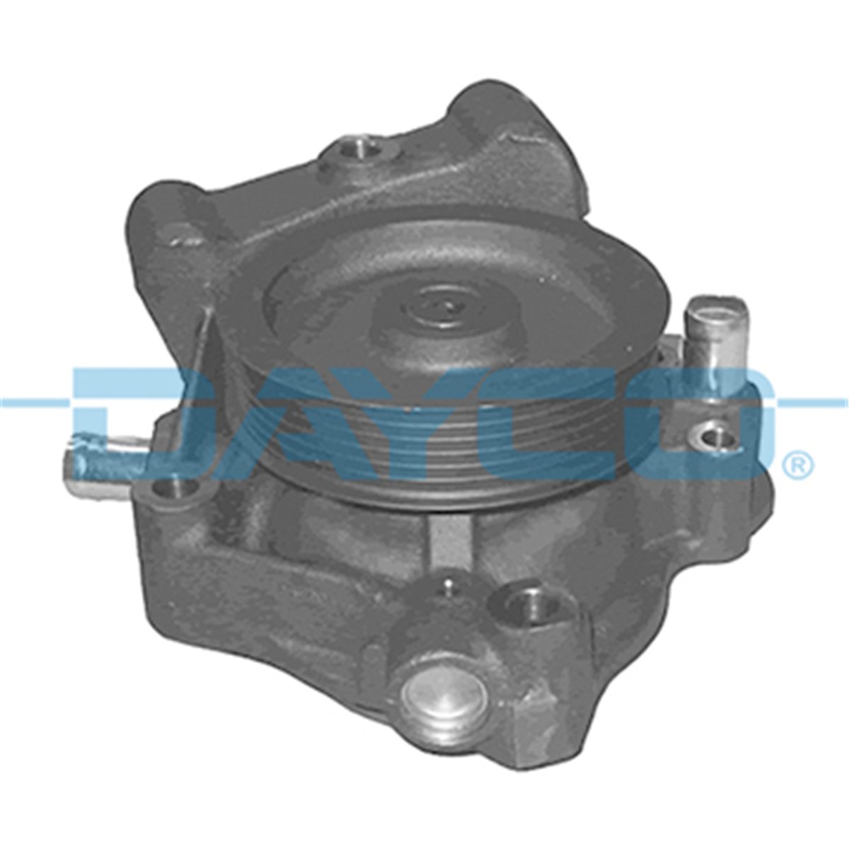 DAYCO DP562 - Devirdaim - Fiat Ducato Iii-iveco-boxer Iii-