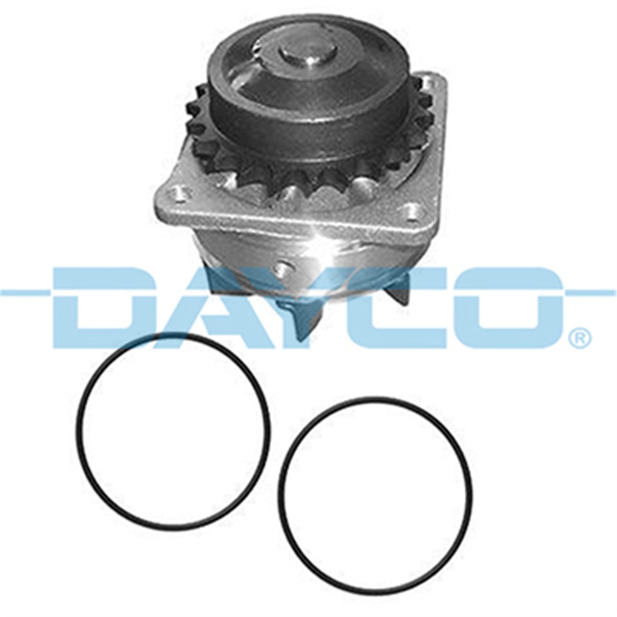 DAYCO DP580 - Devirdaim - Japon Nissan Pathfinder Ii