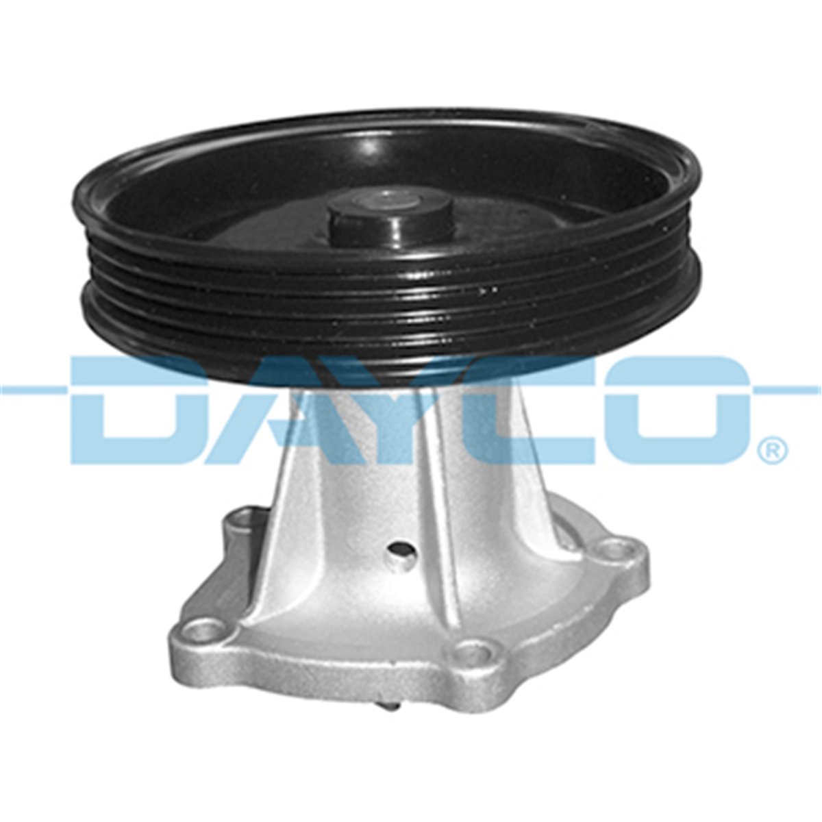 DAYCO DP753 - Devirdaim - Opel Kalos Aveo T250 T255 Spark M300