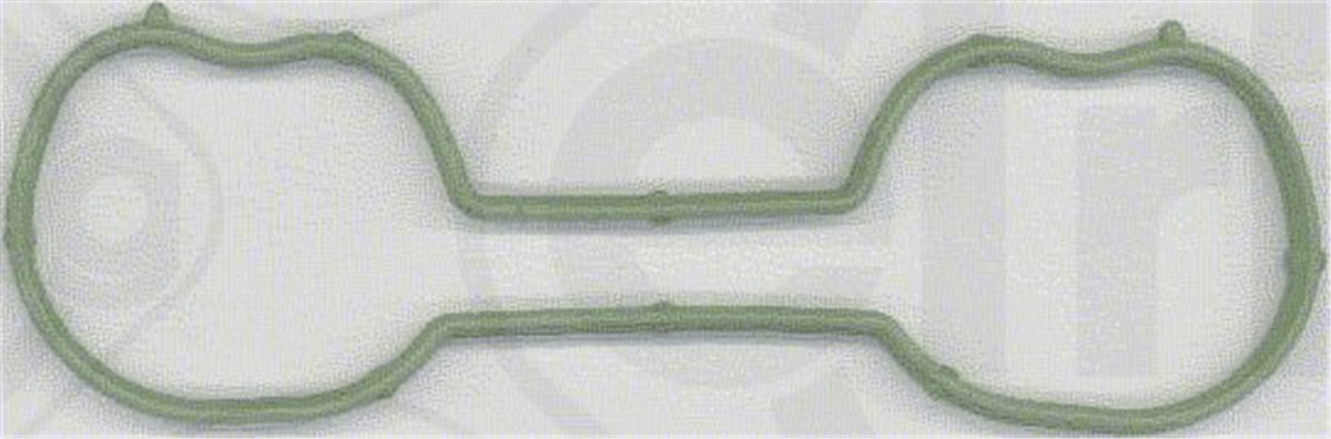 ELRING 025.280 - Manifold Contasi Emme - Ford Focus-fiesta