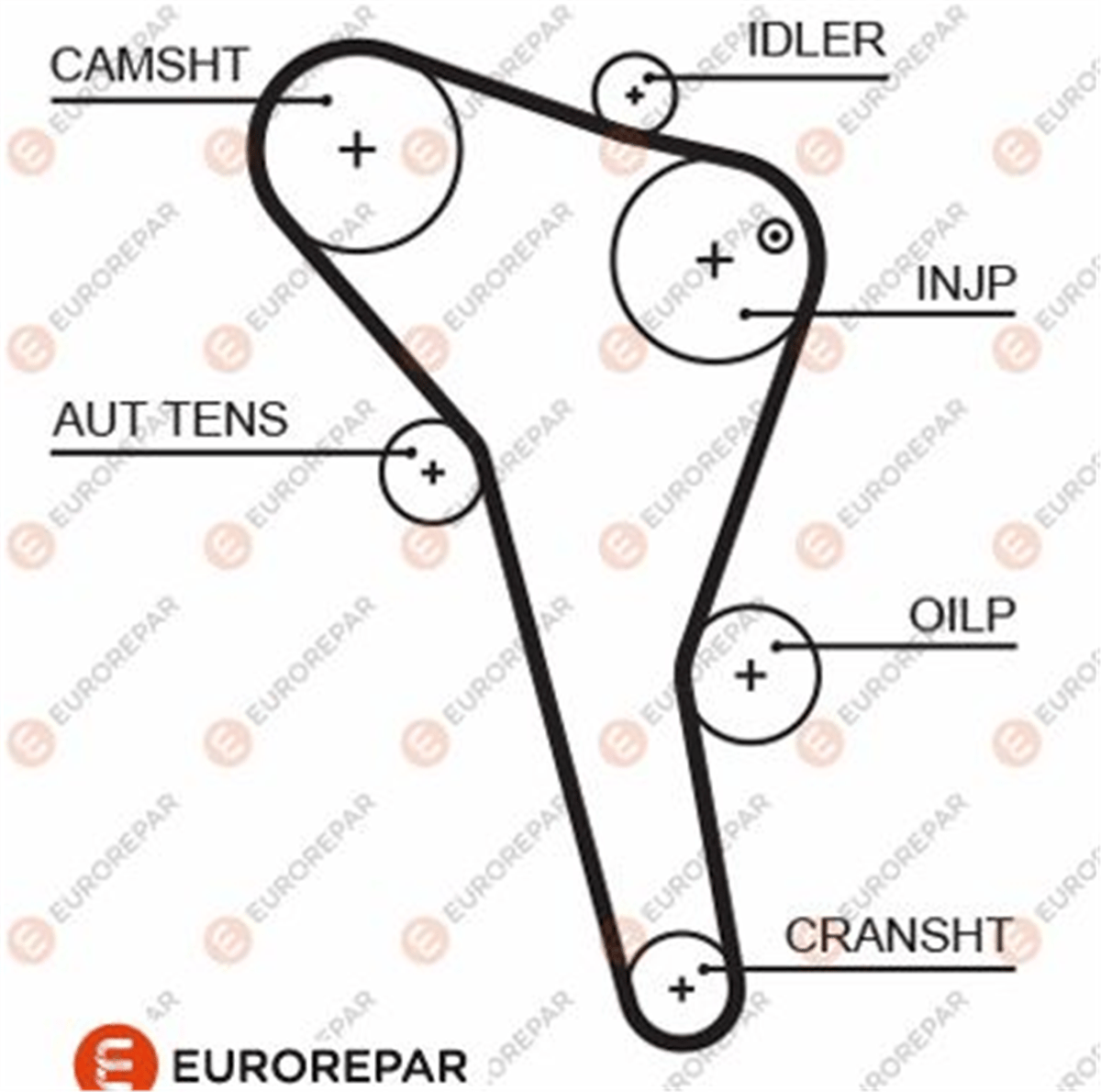EUROREPAR 1633129180 - Triger Kayisi - Vw Passat