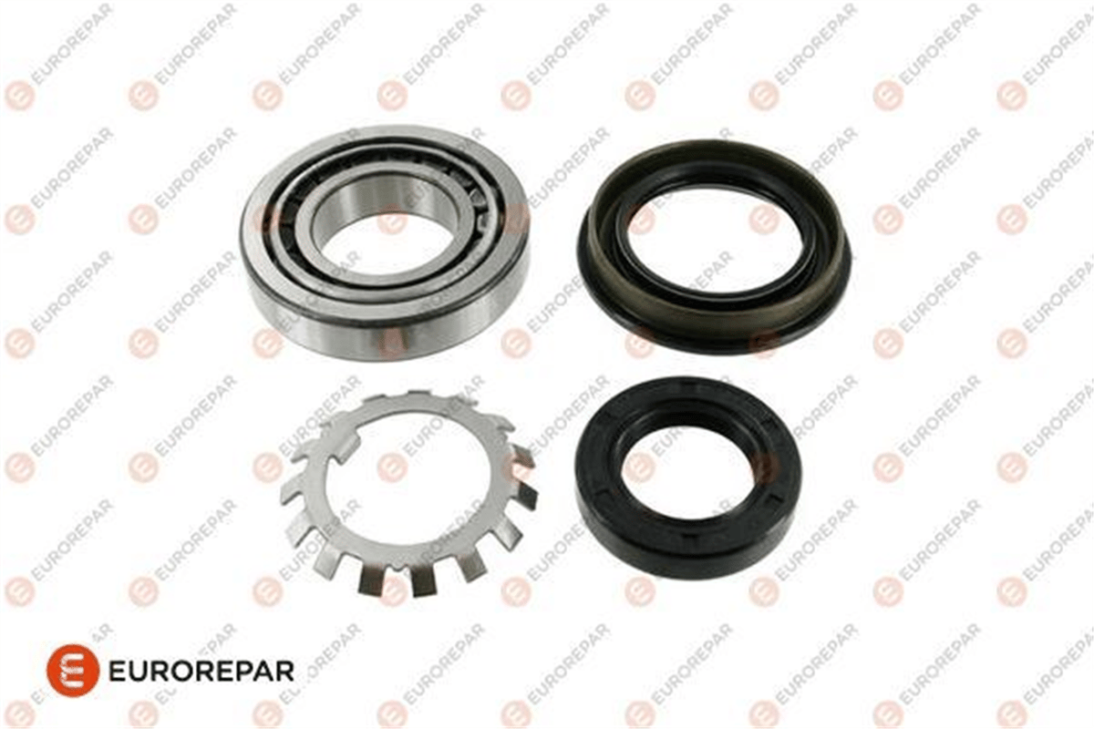 EUROREPAR 1686244180 - Erulmankiti - Japon 