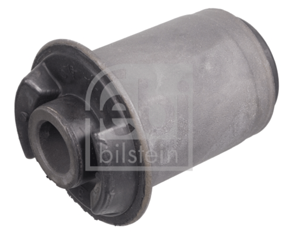 FEBI 103019 - Salincak Burcu - Fiat 