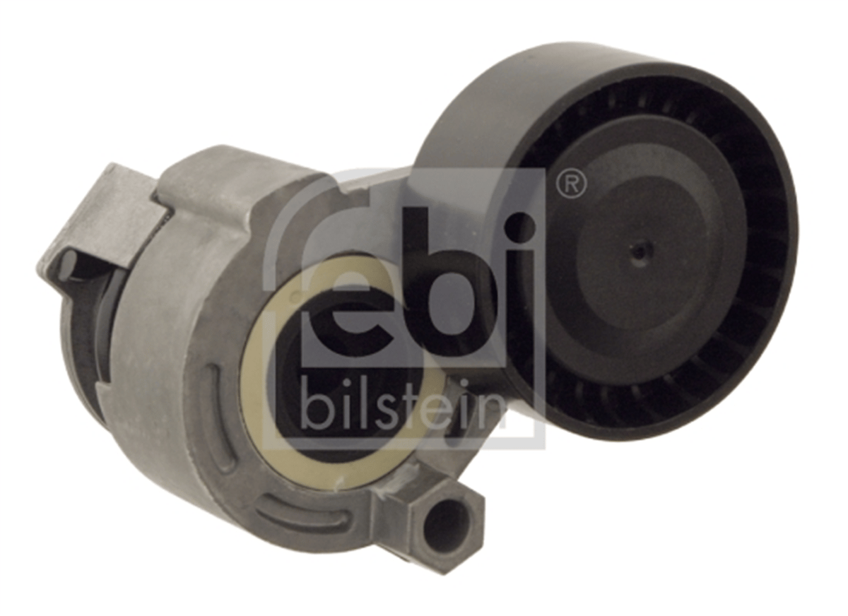 FEBI 30159 - V Kayis Gergisi Komple - Renault Clio/kango/megan Ii/modus