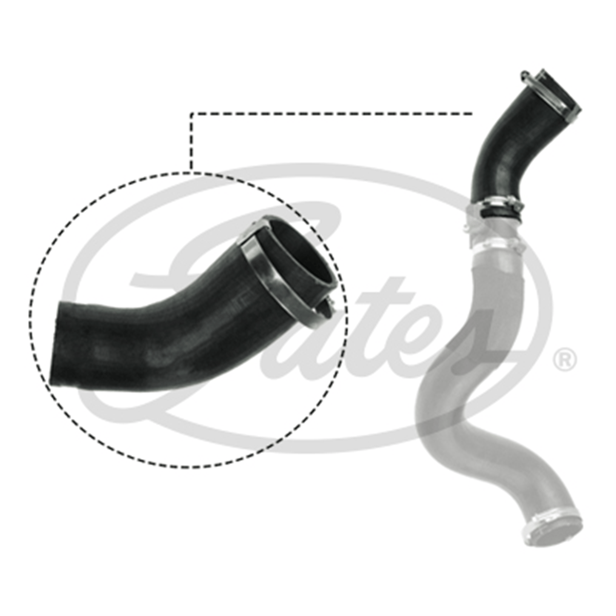 GATES 09-0616 - Intercooler Hortumu - Ford Transit V-347/363