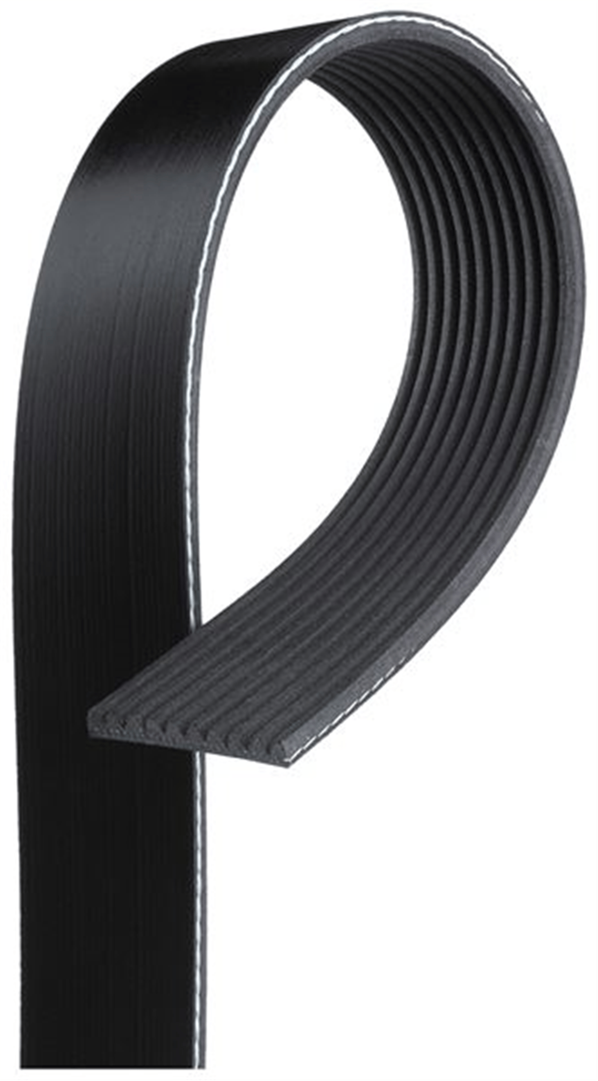 GATES 10PK1460HD - Kanalli V Kayisi - Av Magnum
