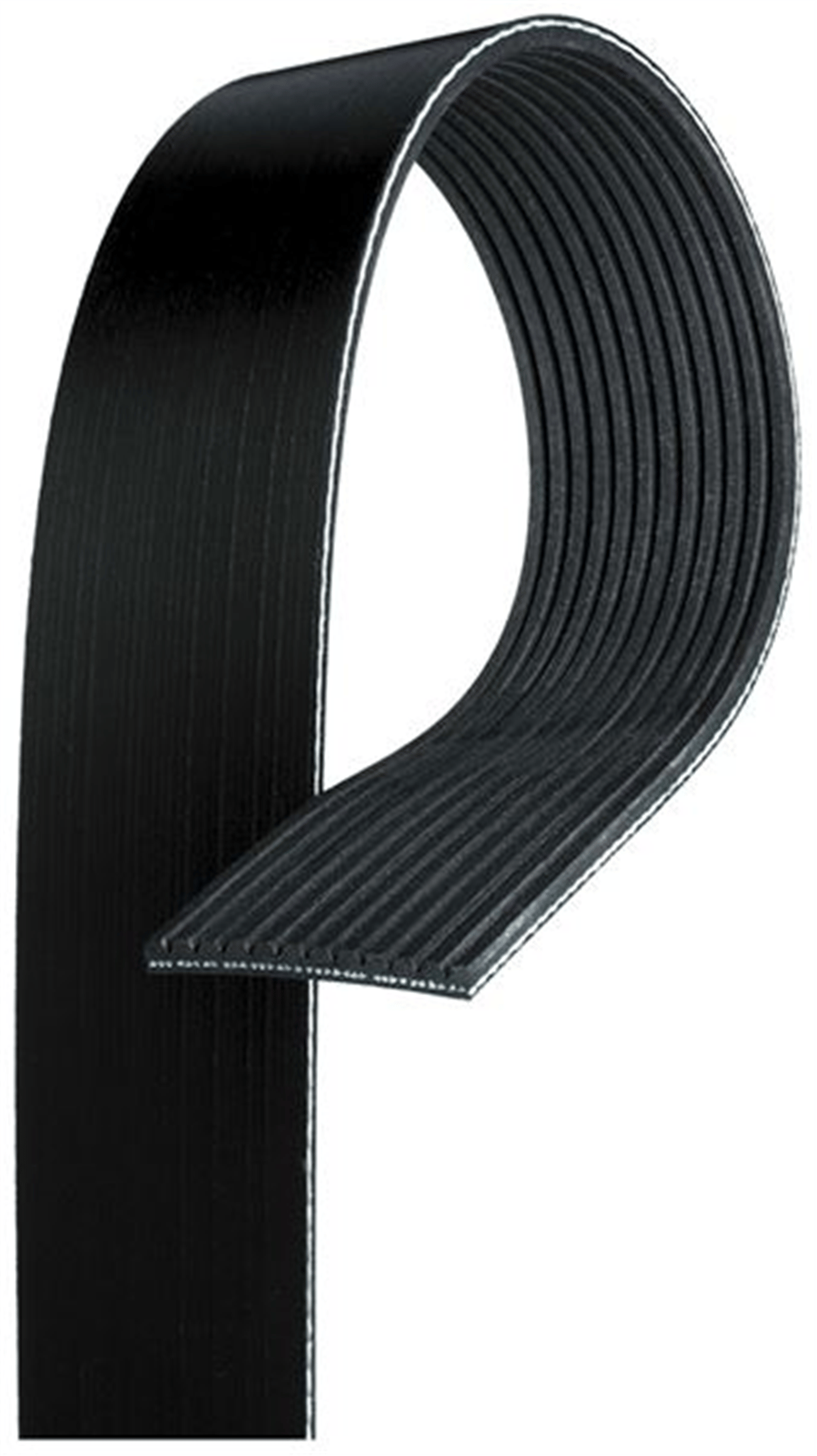 GATES 12PK1835HD - V Kayisi - Av Stralis I/ii, Trakker I/ii