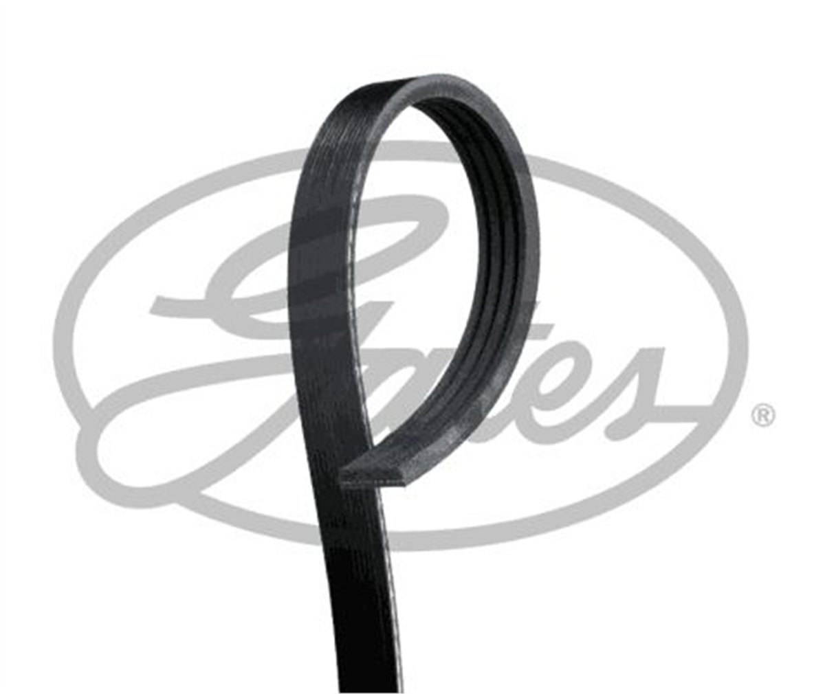 GATES 4PK755 - V Kayisi - Psa Boxer / Jumper/ducato