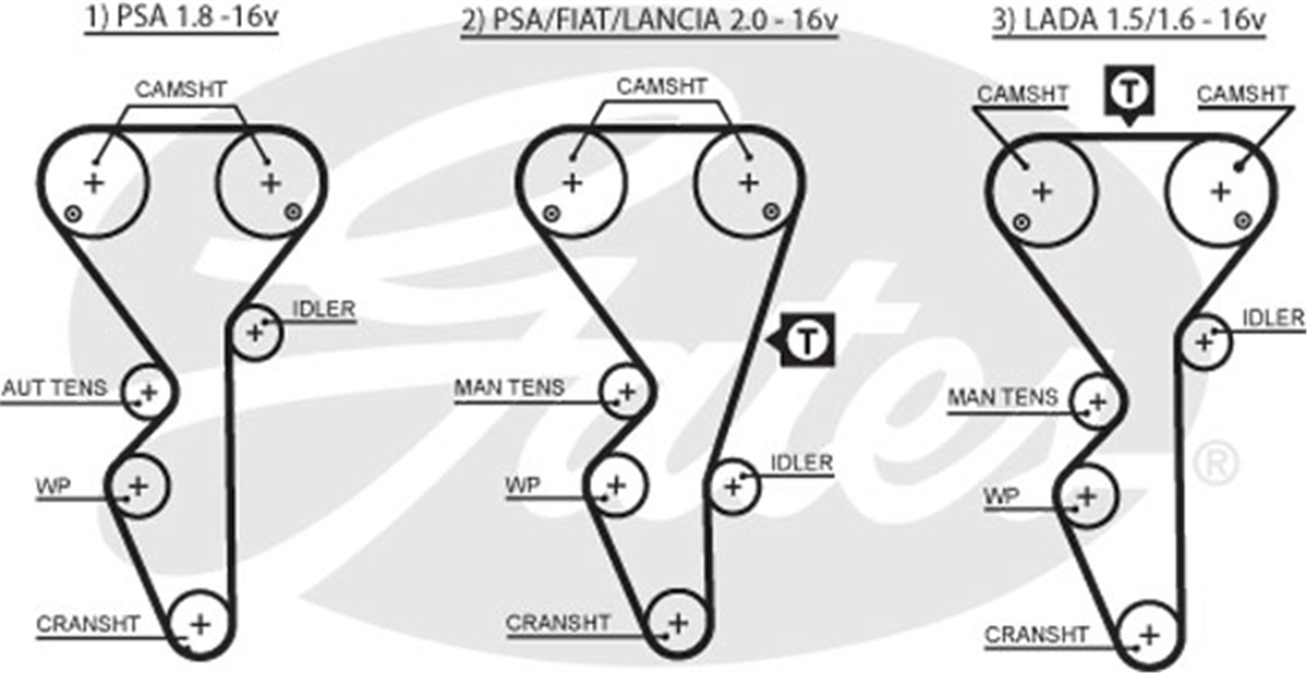 GATES 5468XS - Triger Kayisi - Psa Citroen Xantia