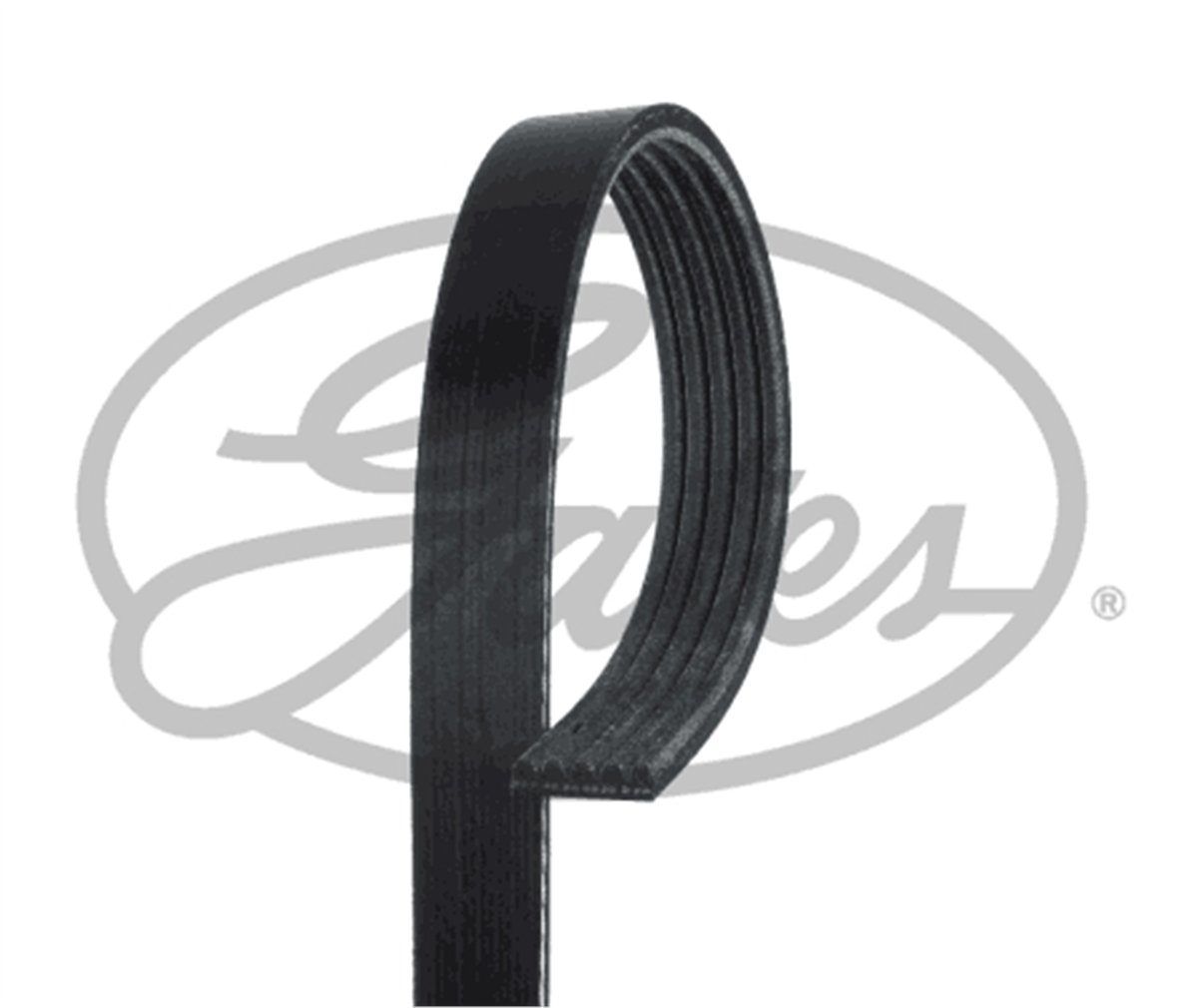 GATES 5PK1745 - V Kayisi - Kore Accent Era/matrix/getz/rio/cerato