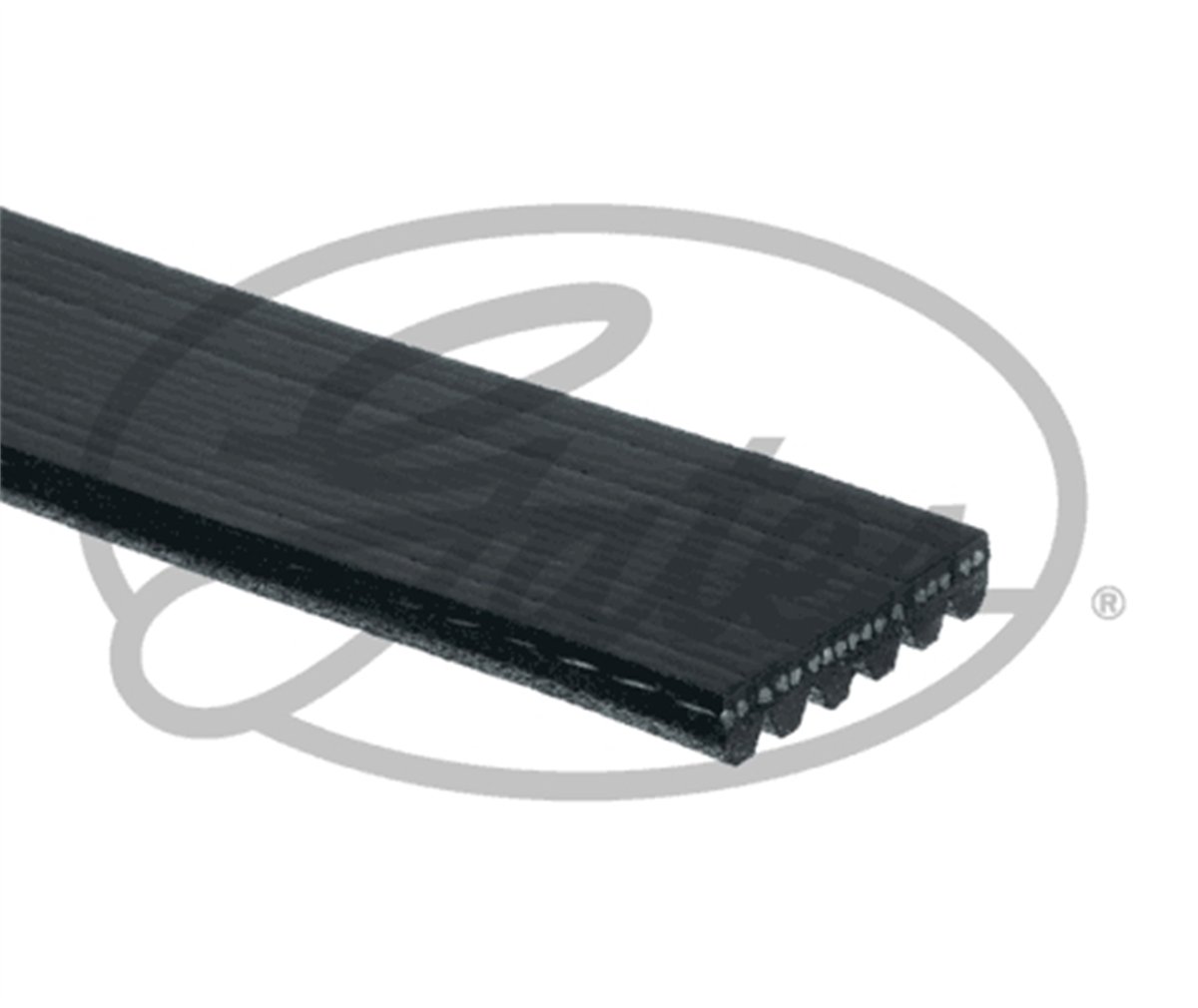 GATES 6PK873SF - V Kayisi - Psa Jumper-3 /boxer-3/v347
