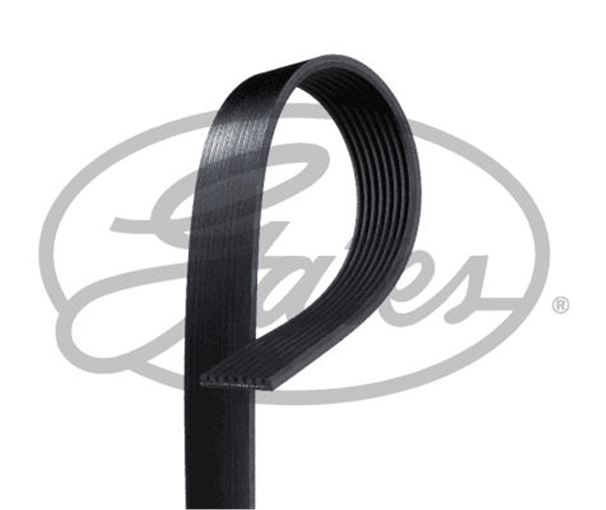 GATES 8PK1610HD - Kanalli V Kayisi - Av Cummins, John Deere, King Long, Komatsu, Mercedes-benz, Renault , Scania