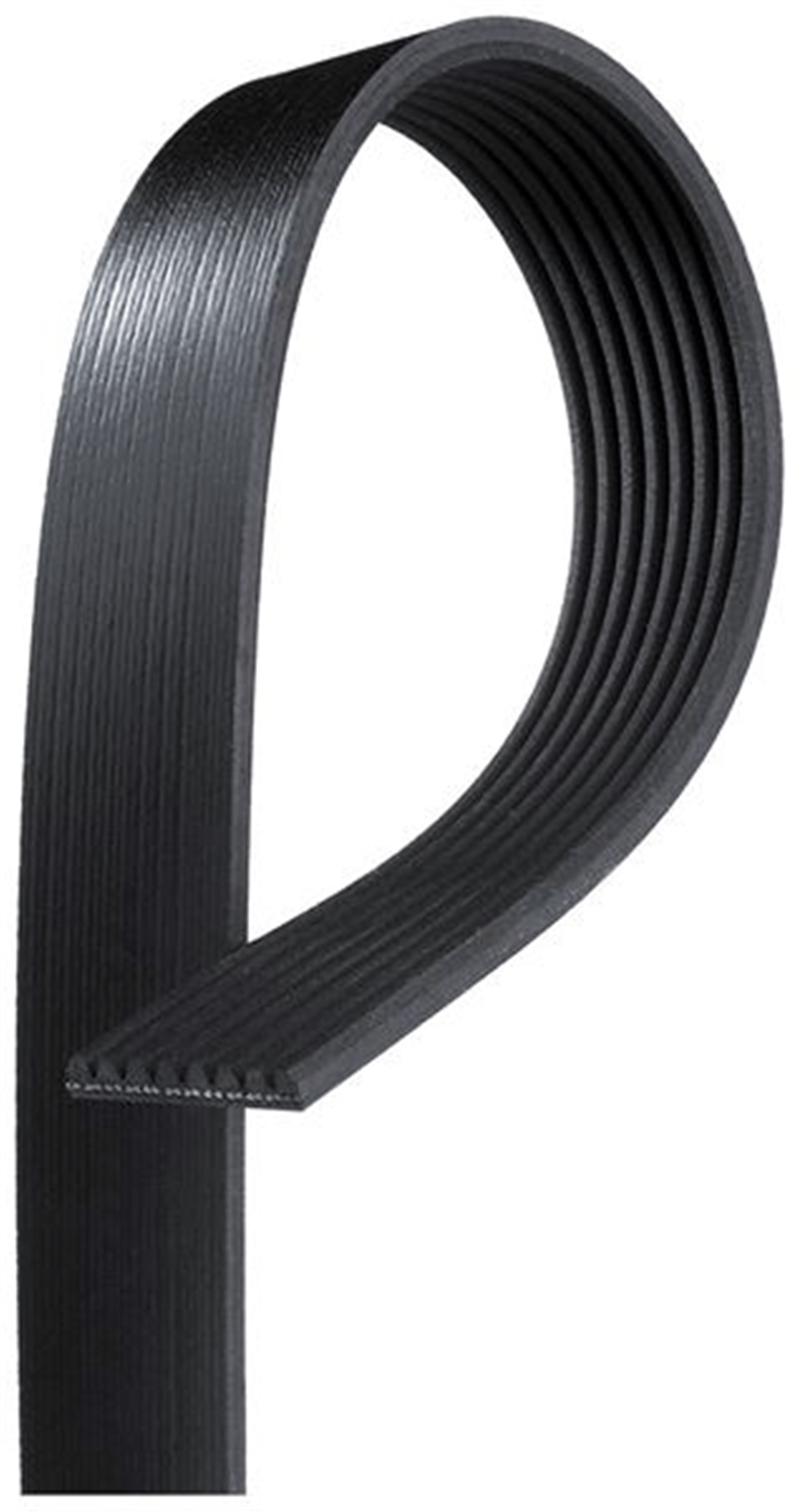 GATES 8PK2070HD - V Kayisi - Av Cf, Xf Ii, Xg, Xg+