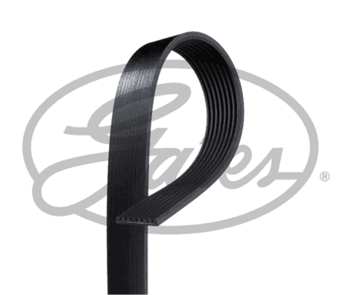 GATES 8PK2135HD - Kanalli V Kayisi - Av 4 - Series, 4 - Series Bus, P,g,r,t - Series