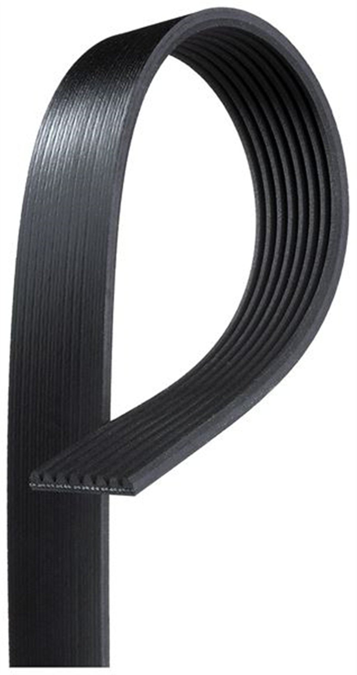 GATES 8PK2643HD - V Kayisi - Av Actros Mp4 / Mp5, Antos, Arocs, Travego (o 580)