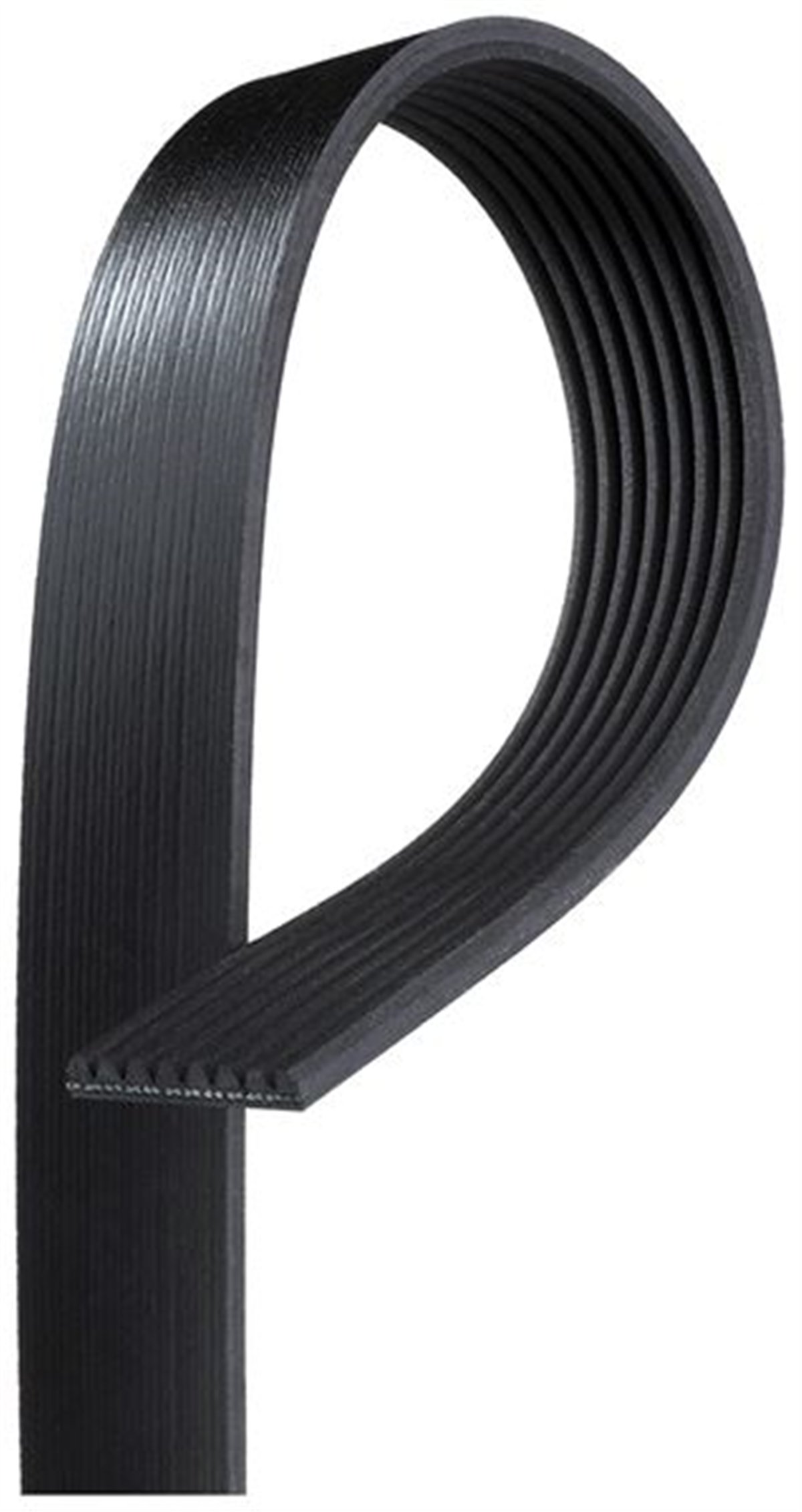 GATES 8PK975HD - Kanalli V Kayisi - Av Cummins, Renault Trucks, Volvo