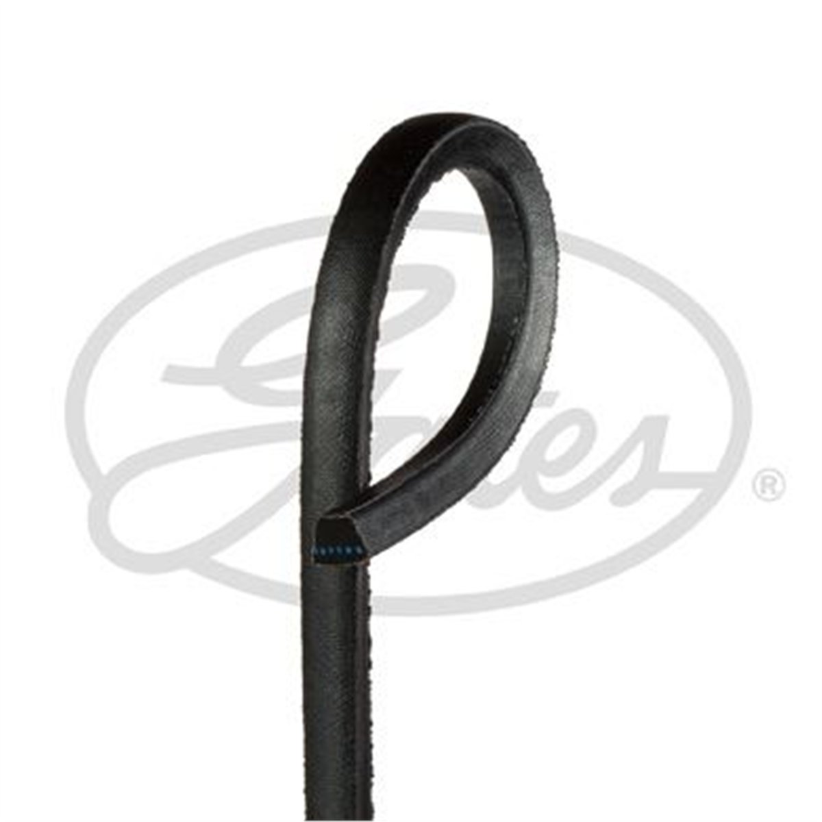 GATES AV13x625HD - V Kayisi - Japon Colt