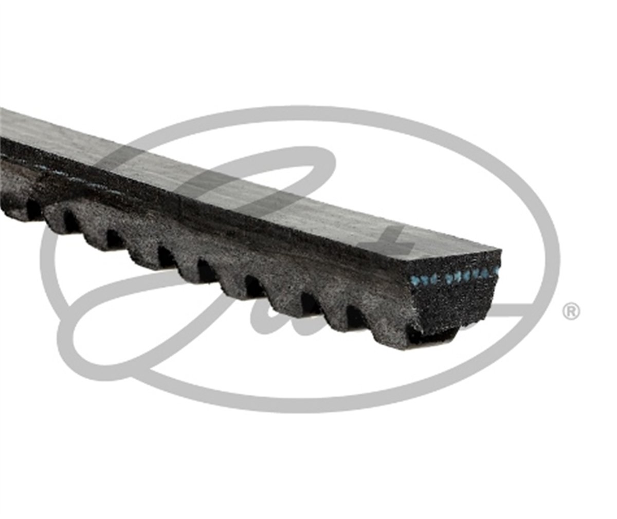 GATES AVX13x1000HD - V Kayisi - Ford Ranger