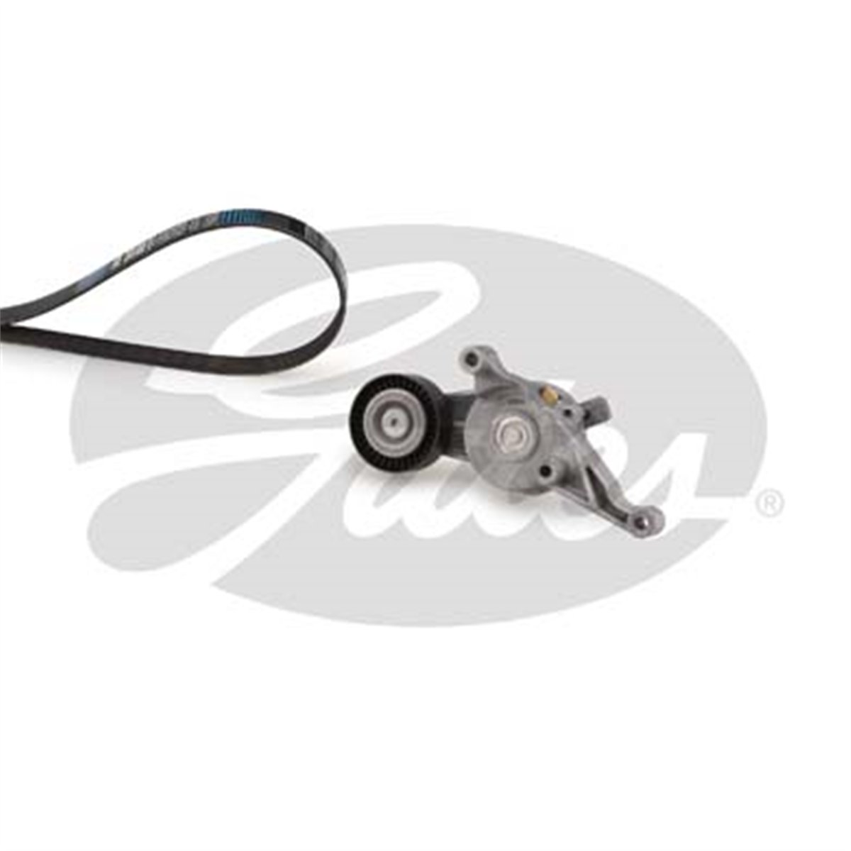 GATES K016DPK1215 - V Kayis Seti - Vw T5