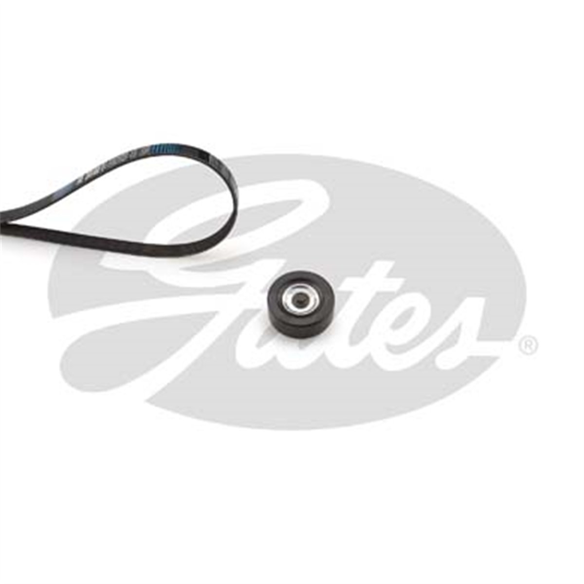 GATES K016PK1042SF - V Kayis Seti - Ford Focus/c-max