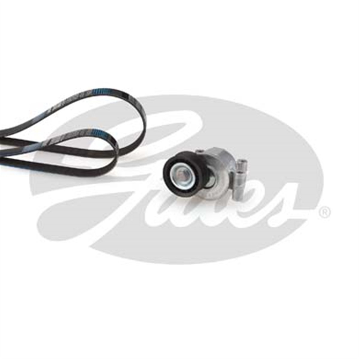 GATES K016PK1305 - V Kayis Seti - Ford Focus/c-max