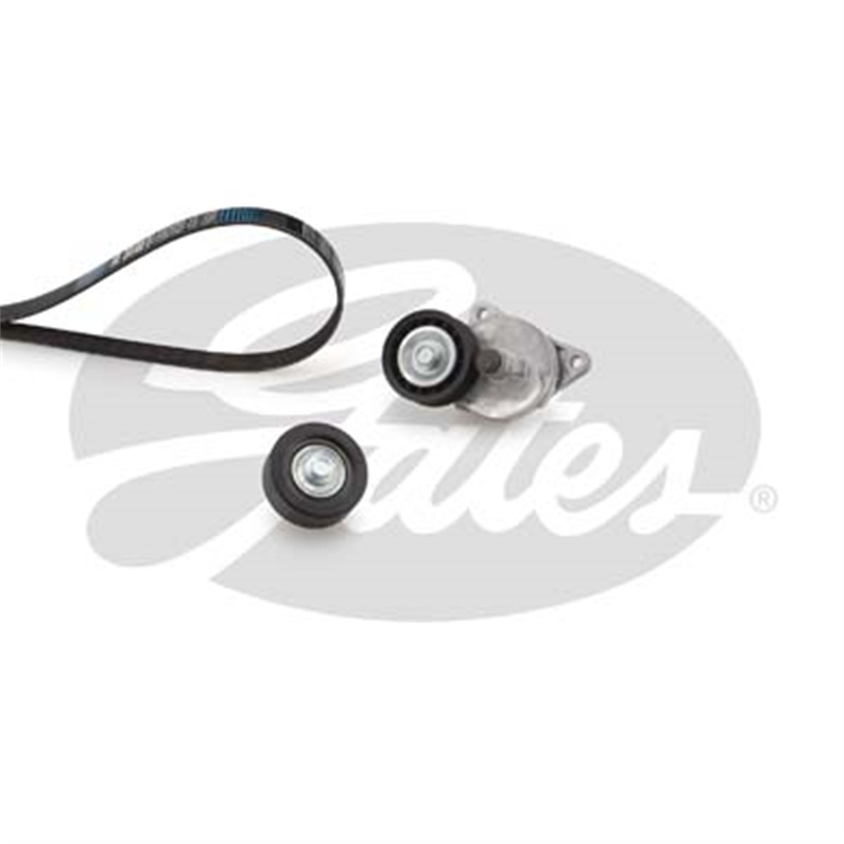 GATES K016PK2100 - V Kayis Seti - Ford Focus/connect