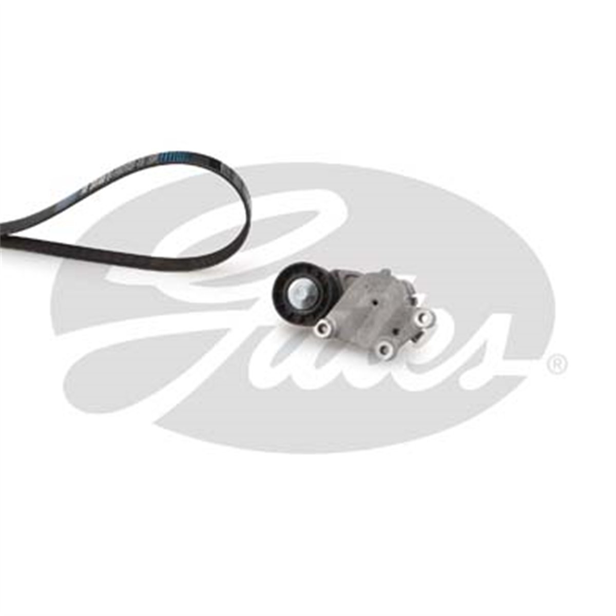 GATES K016PK975 - V Kayis Seti - Ford Focus/c-max/c2/c3/c4