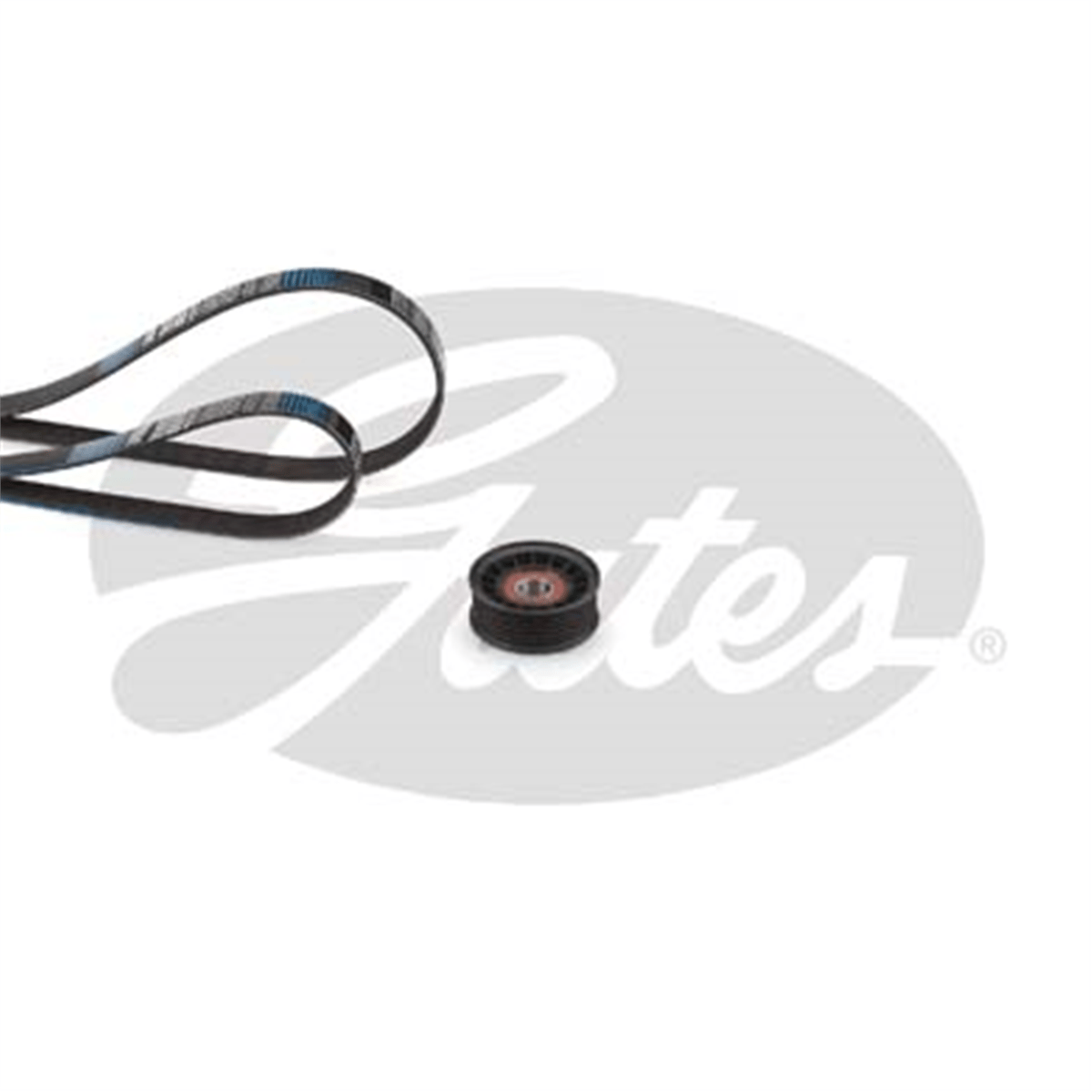 GATES K026PK1249SF - V Kayis Seti - Ford Focus/c-max