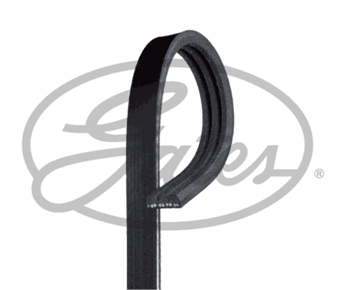 GATES RDM715K3 - Direksiyon Pompa Kayisi - Renault Clio/sandero/modus/custom