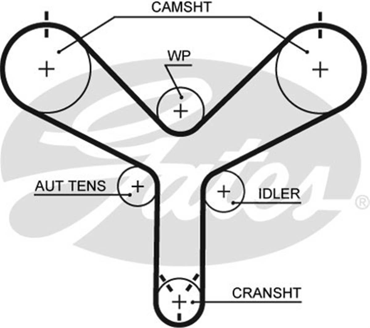 GATES T298 - Triger Kayisi - Japon Land Cruiser (j10) : Land Cruiser (j20) 4.7 32v 07-12